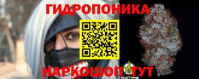 твердый Камышлов