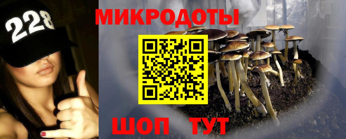 Псилоцибиновые грибы прущие грибы  Псилоцибиновые грибы мицелий  Вход с VPN  Красноярск 